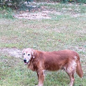 Meet your Posher, Brandy